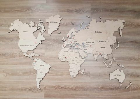 Medinis pasaulio žemėlapis su smeigtukais